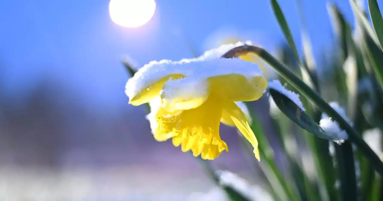 Snow to fall on Friday as Met Eireann predict temperature plunge to -3C