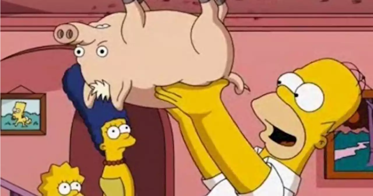 The Simpsons star reveals idea for long-awaited movie sequel | JOE.ie