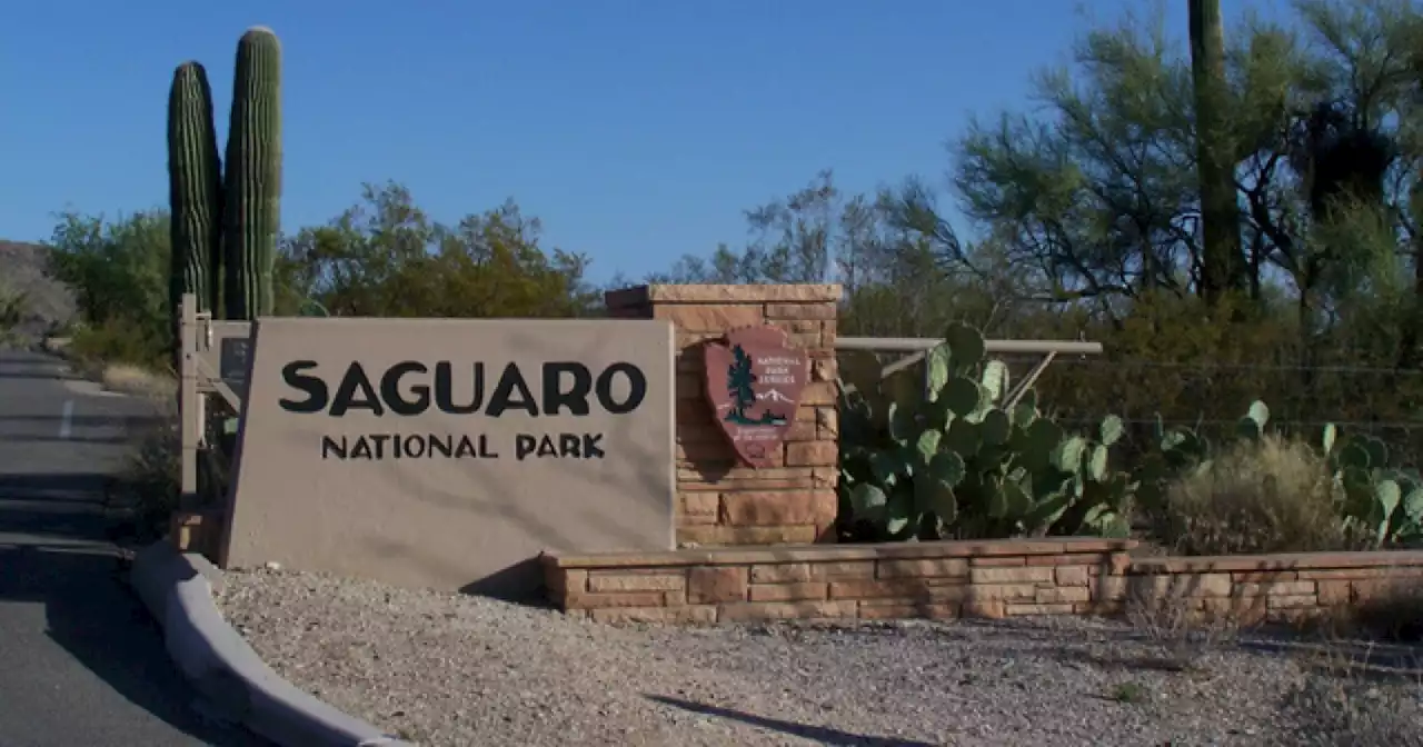 Saguaro National Park reopens visitor centers