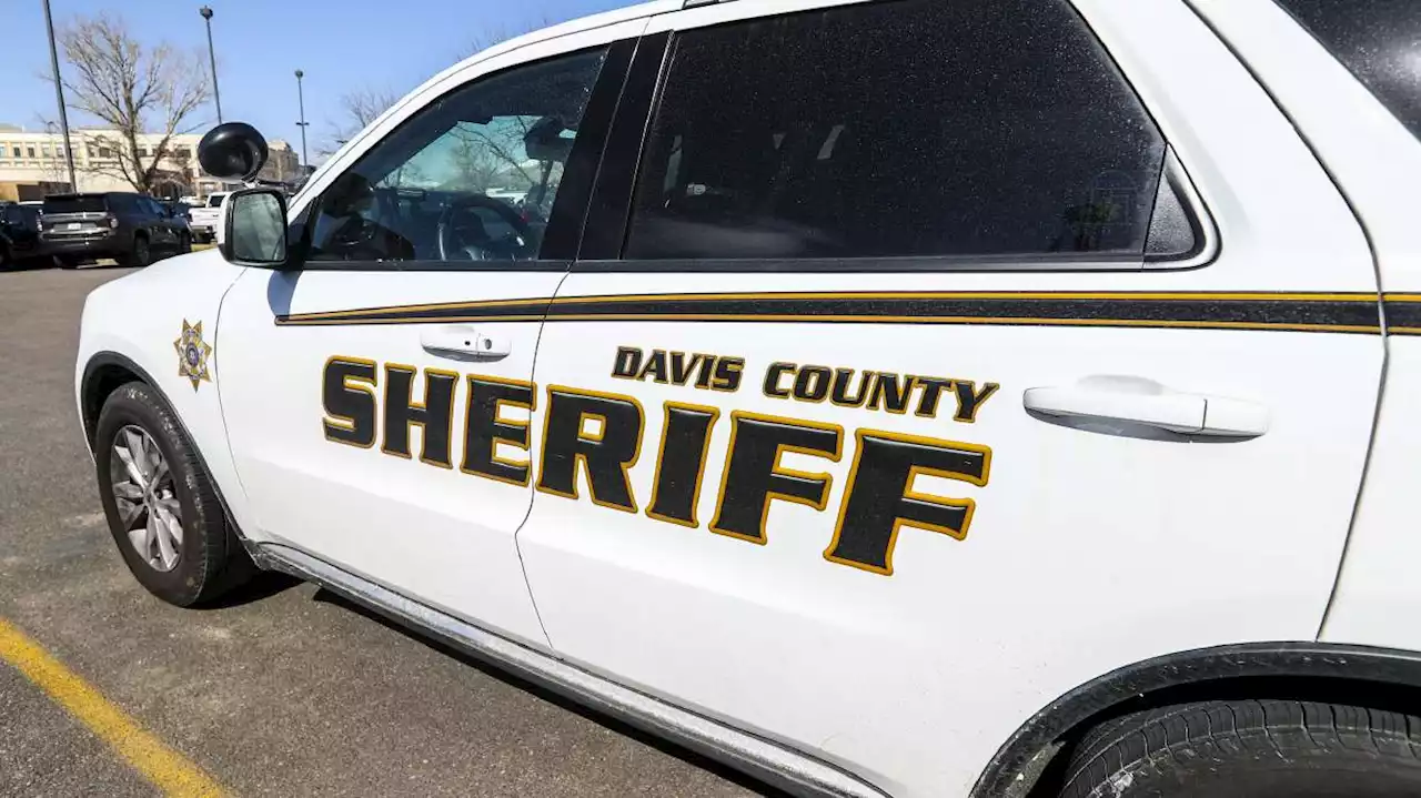 Davis County experiences high number of car break-ins