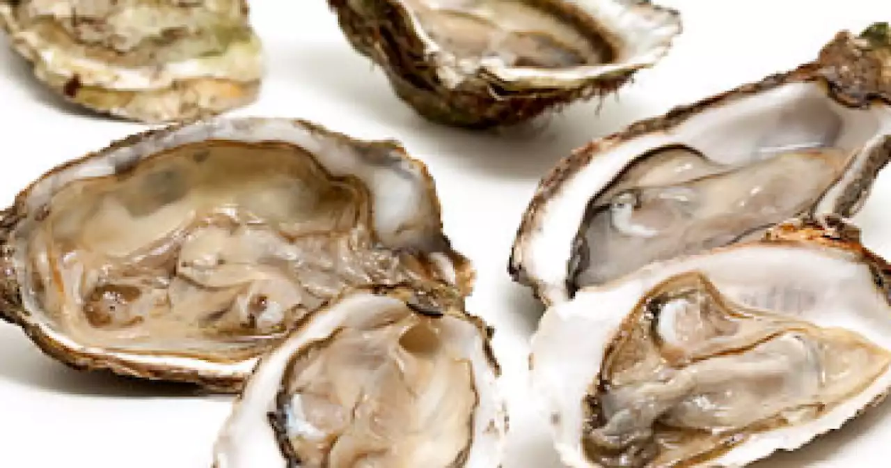 A norovirus outbreak is linked to raw oysters distributed in 13 states, the FDA says