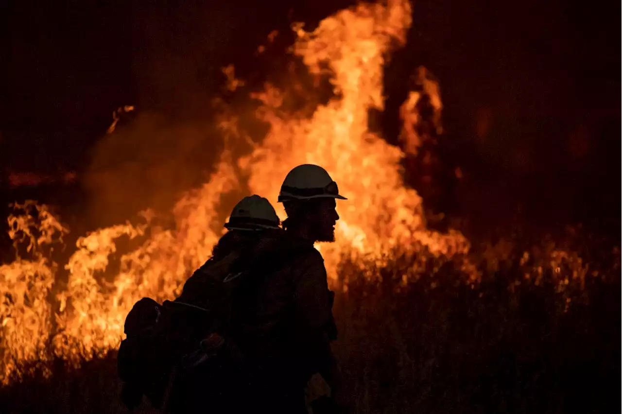 Man convicted of setting Dolan Fire that killed 12 condors