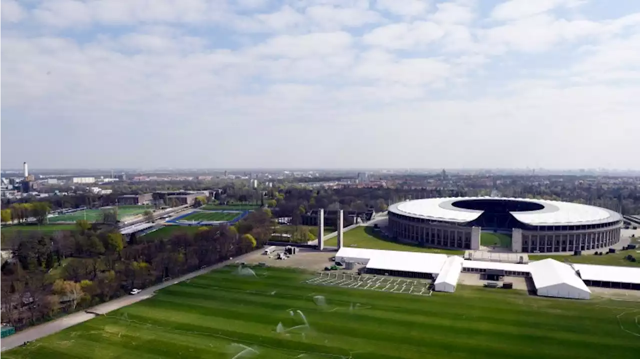 Neues Hertha-Stadion: Planungen noch ganz am Anfang