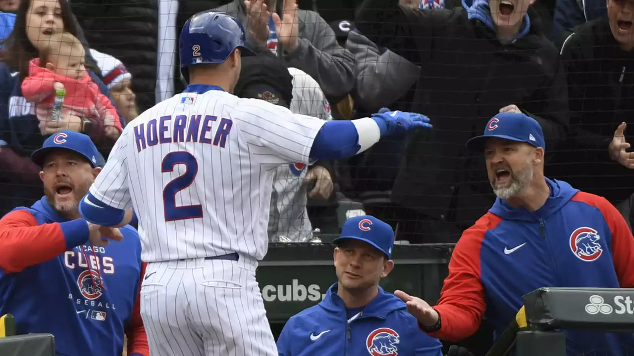 Cubs' David Ross on Nico Hoerner, Middle Infield ‘Juggling'