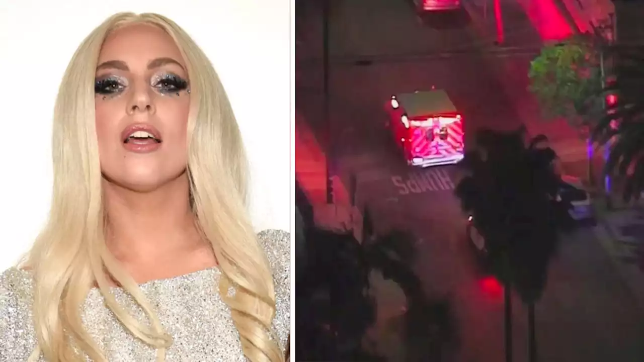 Suspect in Shooting of Lady Gaga's Dog Walker Mistakenly Released From Jail, Sources Say