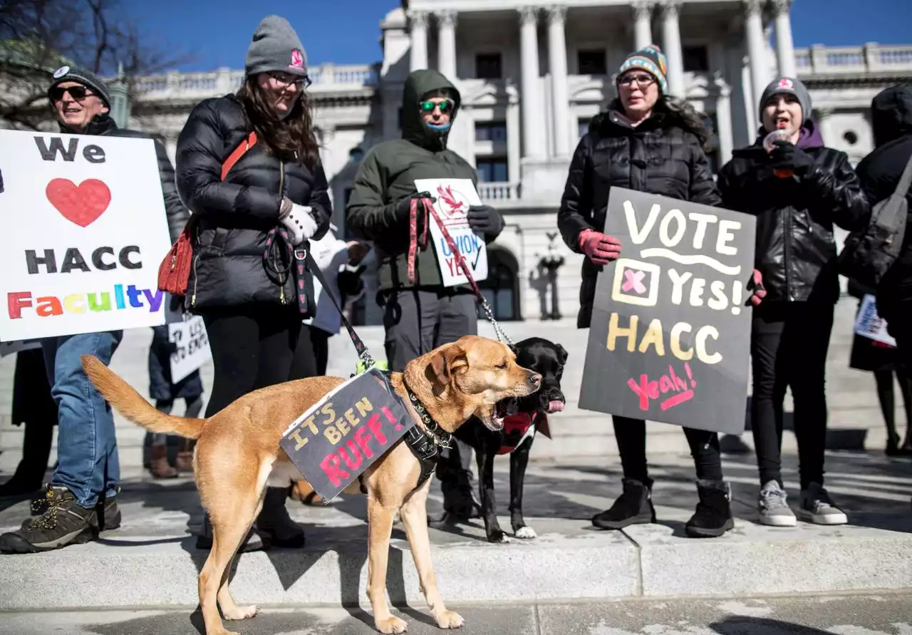 HACC faculty votes yes to form union, joining the rest of community colleges in Pa.