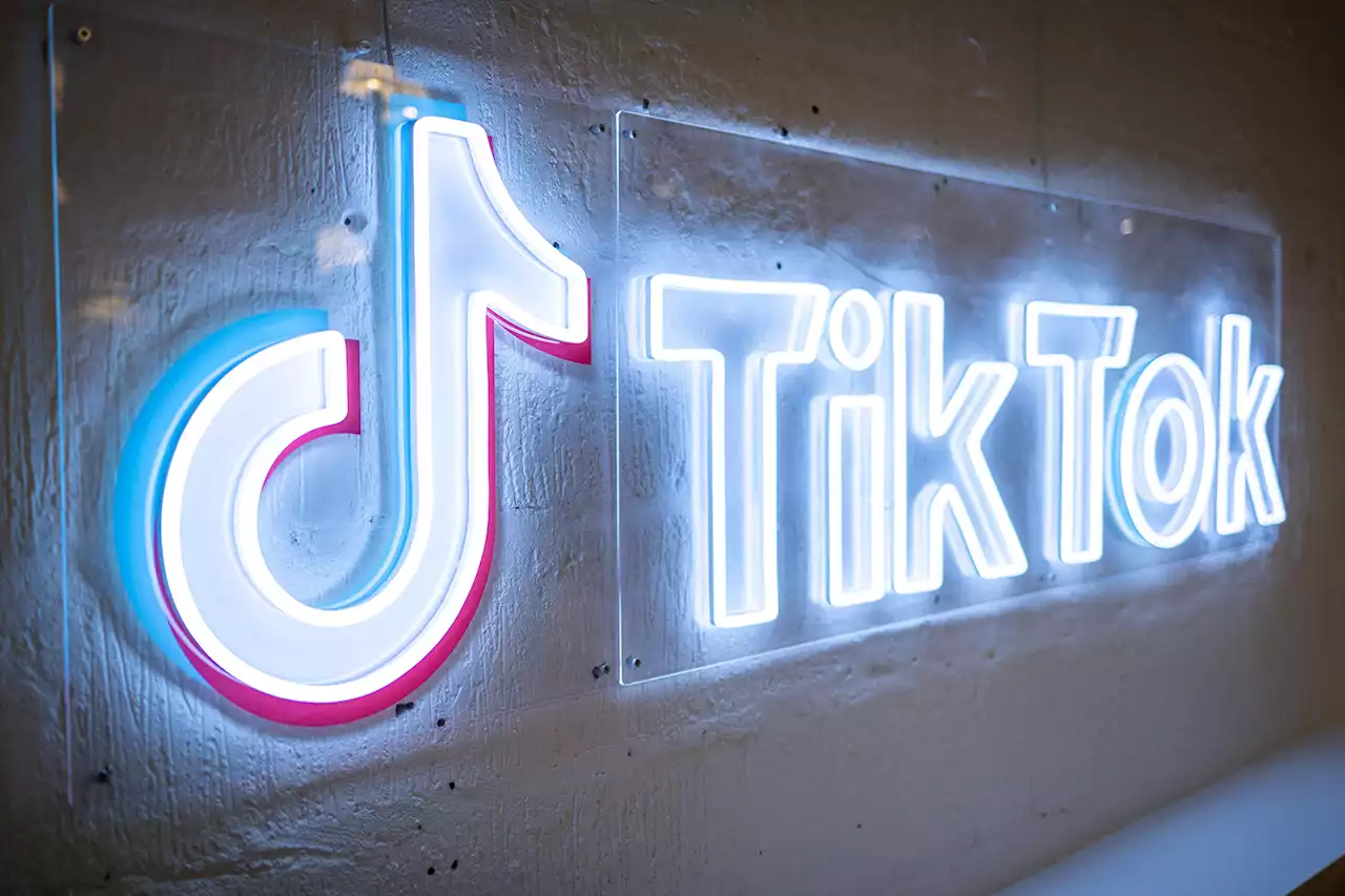 How Facebook Tried to Ratfuck TikTok