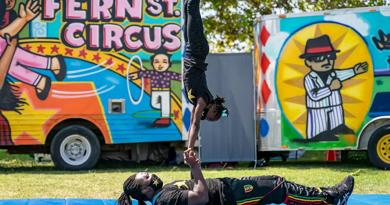 5 things you should know about Fern Street Circus