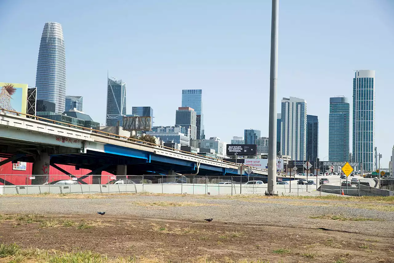 Litter-strewn Bay Bridge entrance will soon transform into an urban forest - The San Francisco Examiner