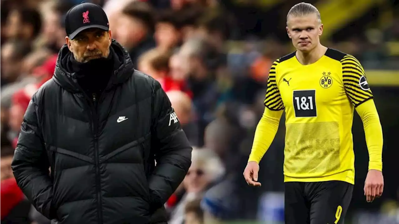 Juergen Klopp Enggan Lihat Liverpool Ikut Latah Kejar Erling Haaland