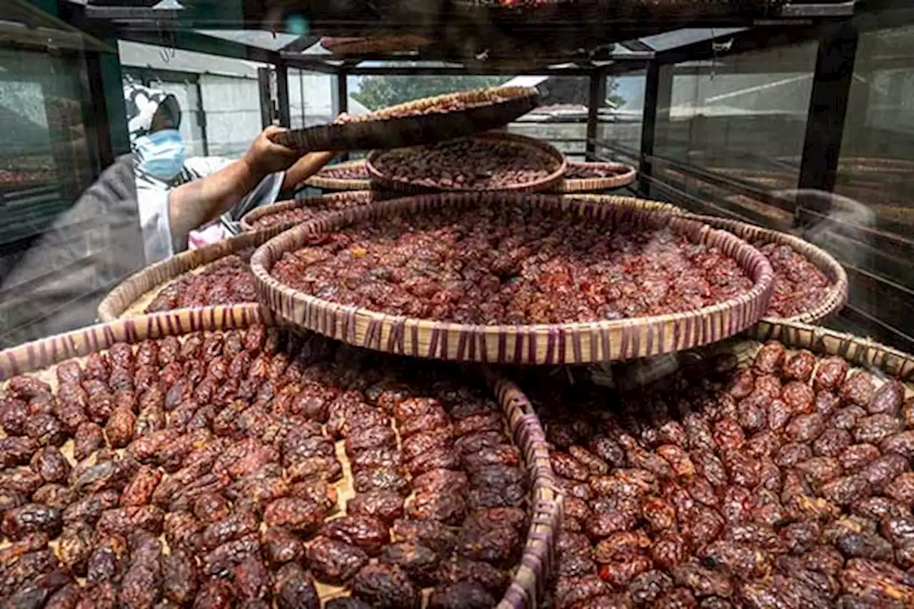 Bangkit dari Pandemi, Torakur Manisan Khas Bandungan Kembali Diproduksi