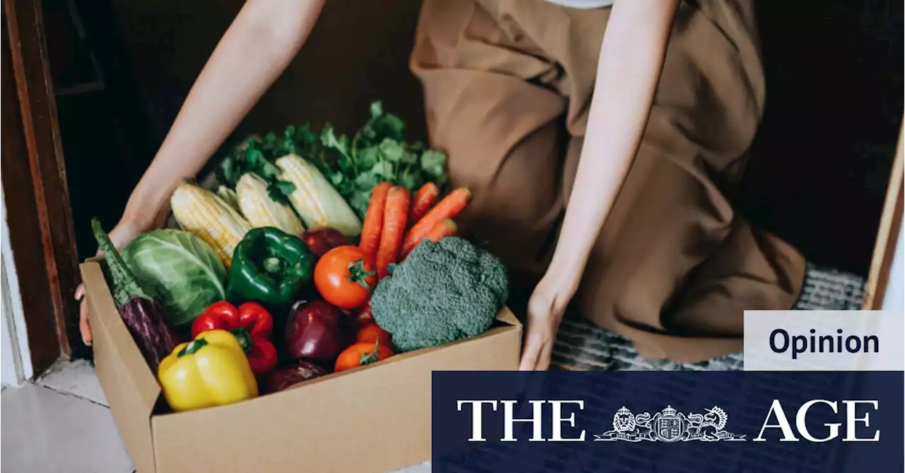 Remember how fun inconvenience could be? The problem with our uber-convenient, home-delivery world