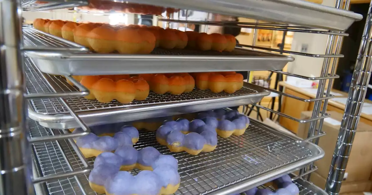 Indy-area's first mochi donut shop opens in Noblesville: 'We're selling out in 2 minutes'