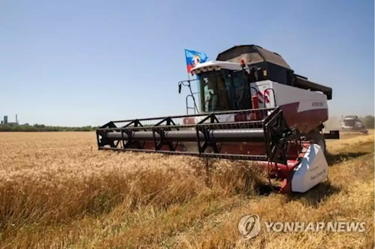 [우크라 침공] 우크라 수출 '마비'…곡물 등 화물열차 수만량 국경서 묶여 | 연합뉴스