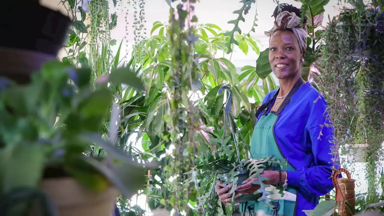 Philly mom opens plant boutique Foliage to promote clean air in Philly