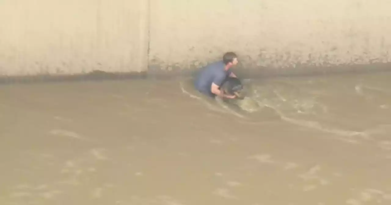 Man who saved Scooby from raging LA River describes harrowing feat