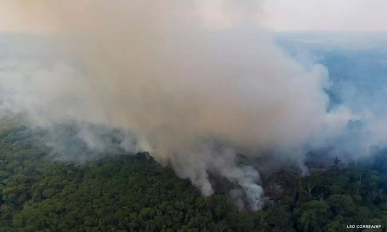 Brazil's Amazon rainforest has already reached a new deforestation record this year