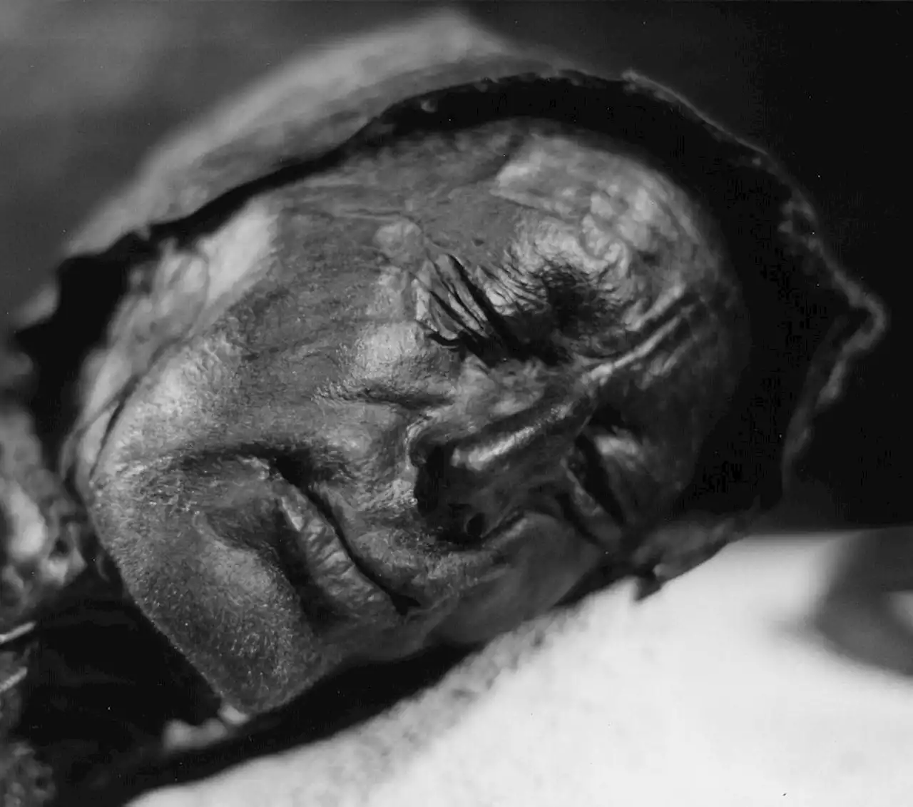 What the Bog Bodies of Europe Tell Us About Ancient Cultures