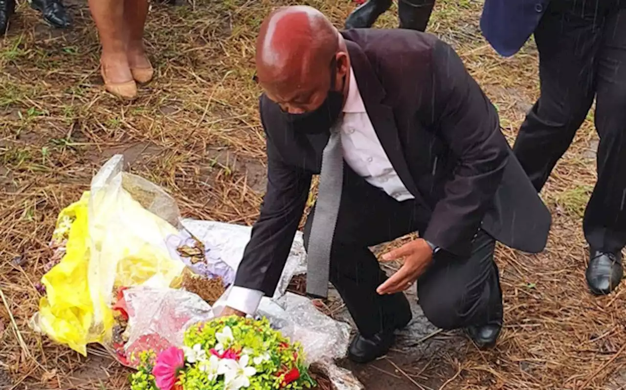 KZN Premier Sihle Zikalala sends condolences to Royal family