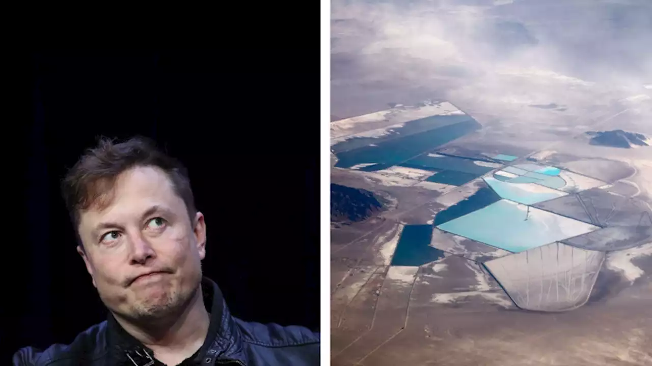 Elon Musk says Tesla may forge into a new industry: lithium mining