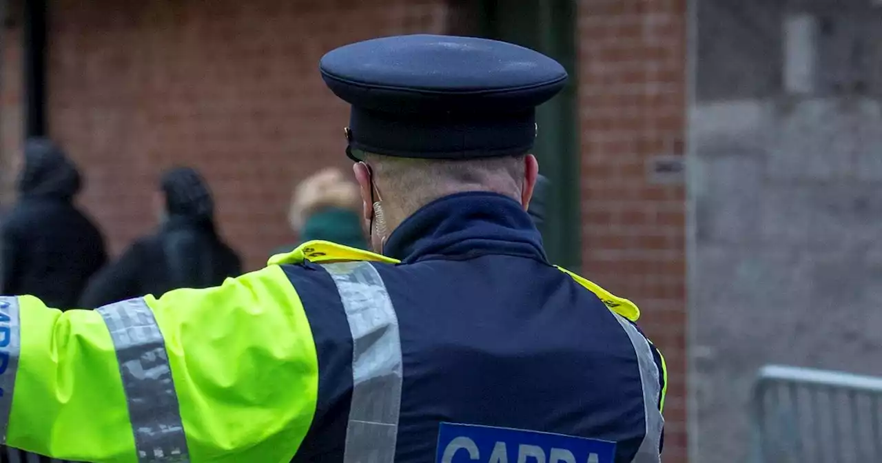 Gardai rush to scene after young man dies in crash in middle of the night
