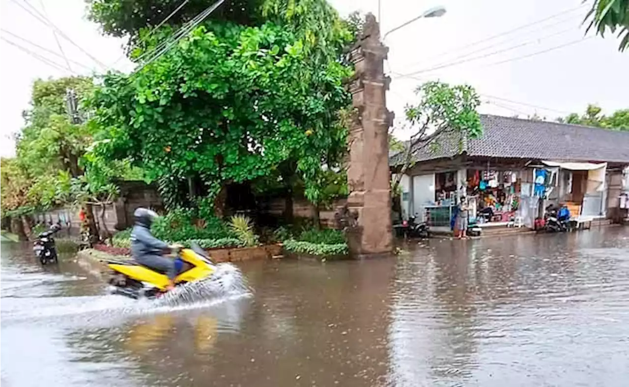 Hujan Angin, Pohon Tumbang dan Gempa Guncang Bali