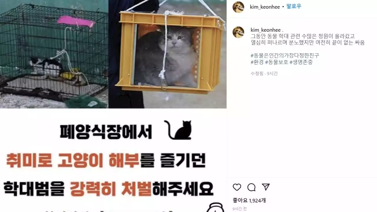 김건희, 1일 1인스타? 이번엔 '고양이 학대범 처벌해주세요'