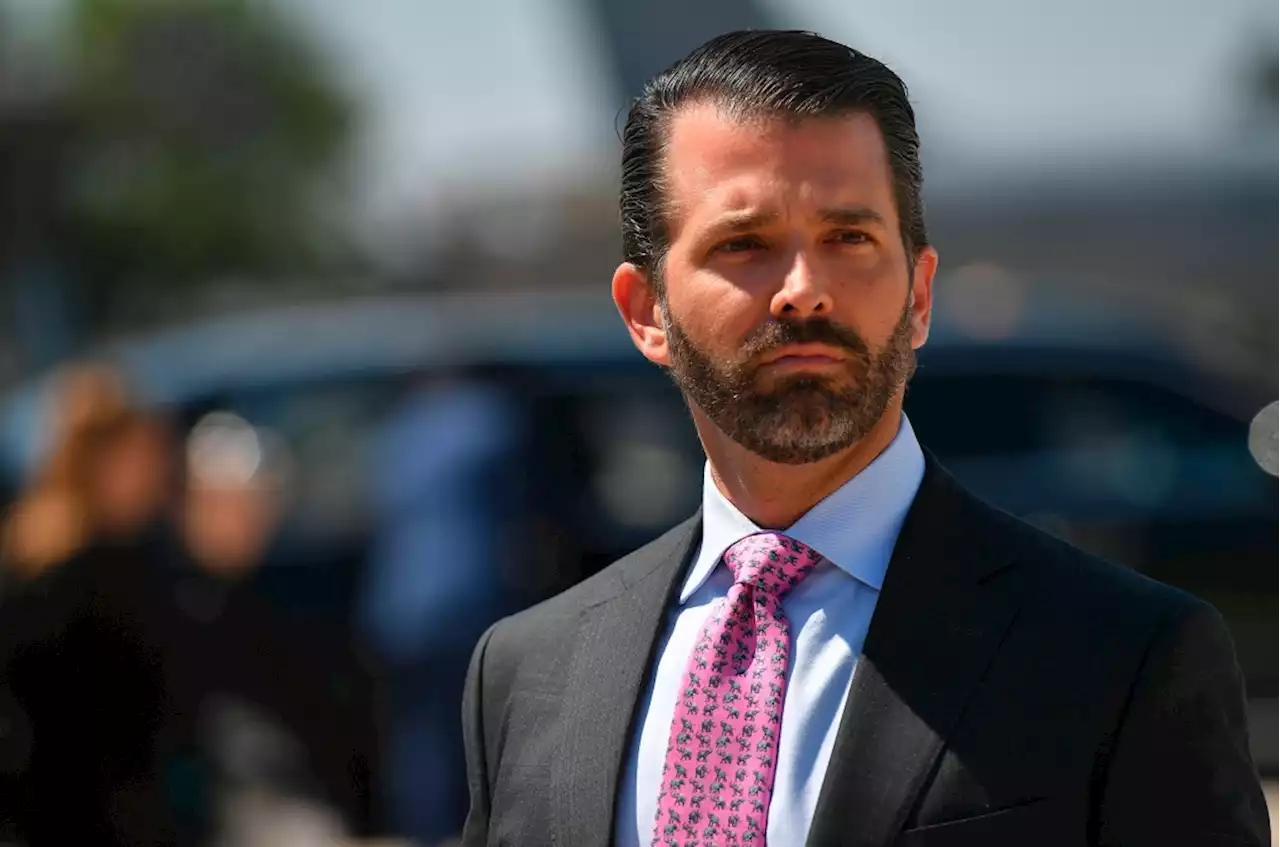 Don Jr. texted Meadows with election overturning ideas on Nov. 5