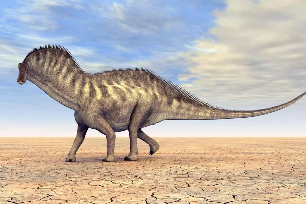 Strange sauropod dinosaurs had sails on top of their long necks