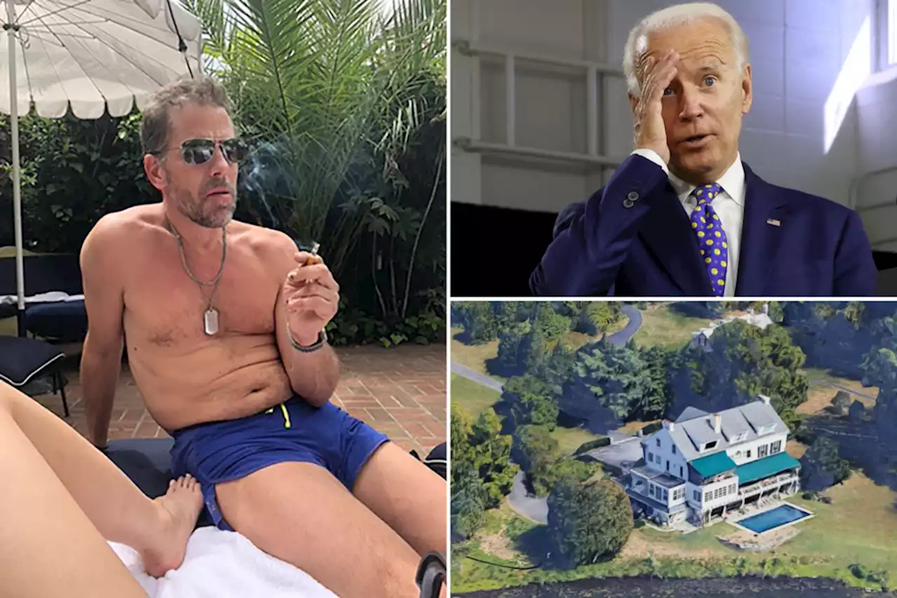 Hunter Biden frequently covered family expenses, texts reveal