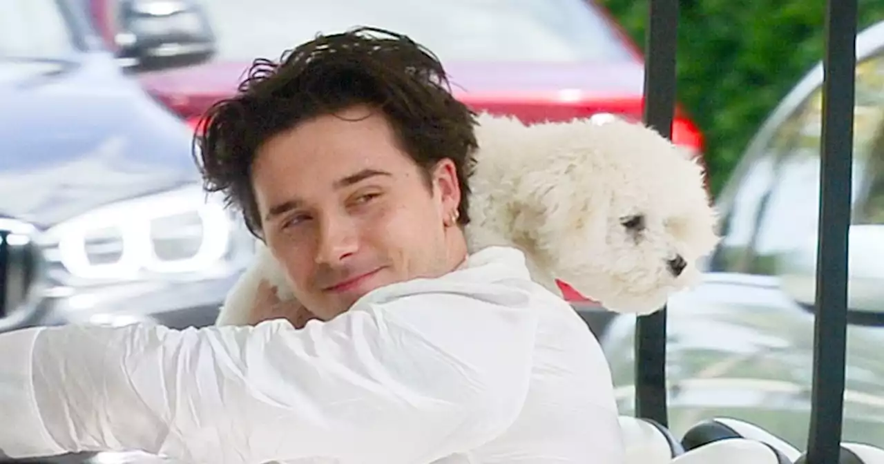 Brooklyn Beckham cuddles pet dog on the morning of wedding to Nicola Peltz