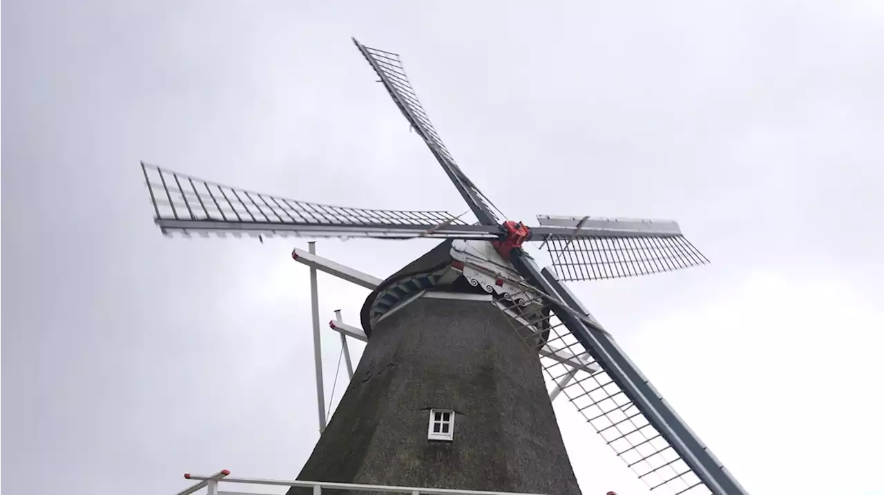 Historische molens in Drenthe draaien een uur lang voor landelijke recordpoging