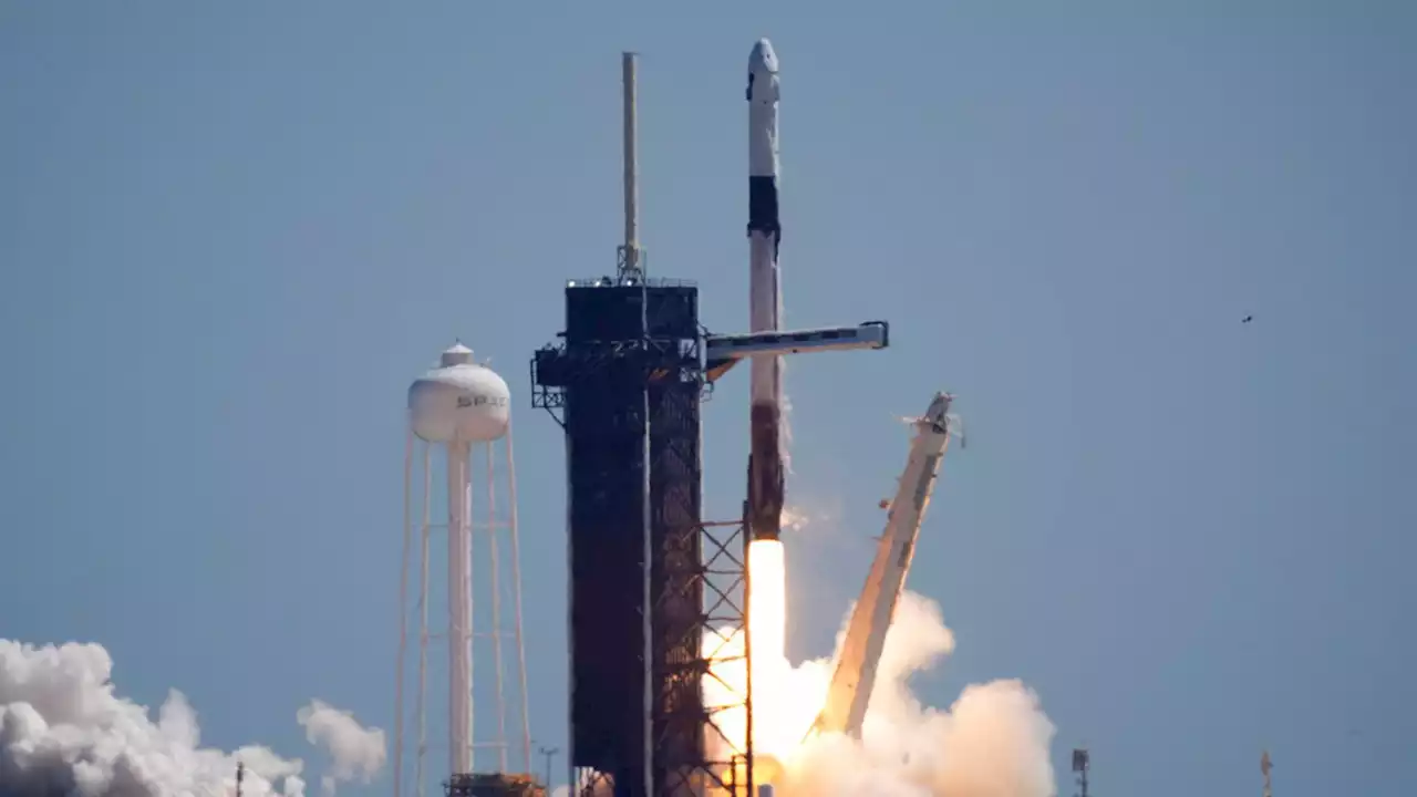 SpaceX launches three rich businessmen to space station for $55m each in first private mission