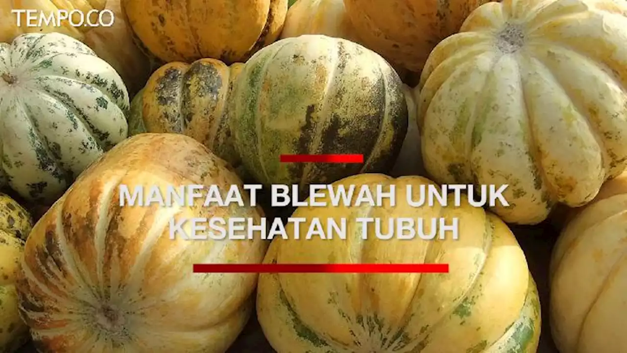 Sering Dijadikan Menu Takjil, Ini Manfaat Blewah untuk Kesehatan Tubuh