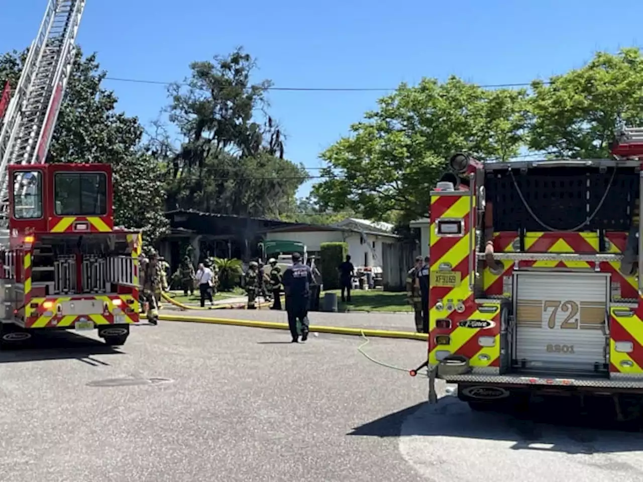 Dozens of pets die in Jacksonville house fire