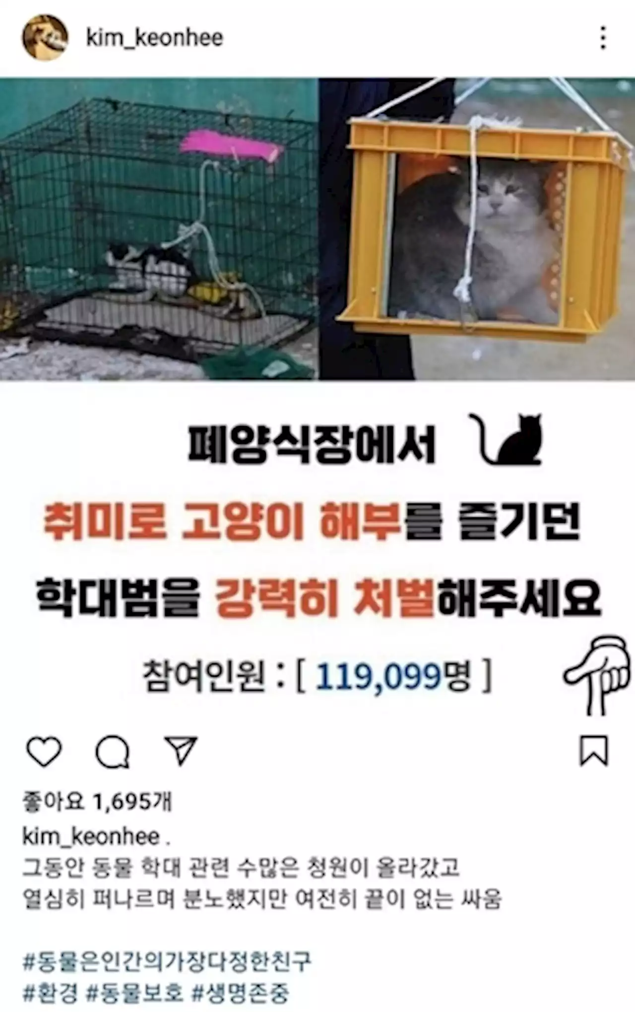 '1일 1인스타' 현안 목소리 내는 김건희…이번엔 '동물 학대'(종합) | 연합뉴스