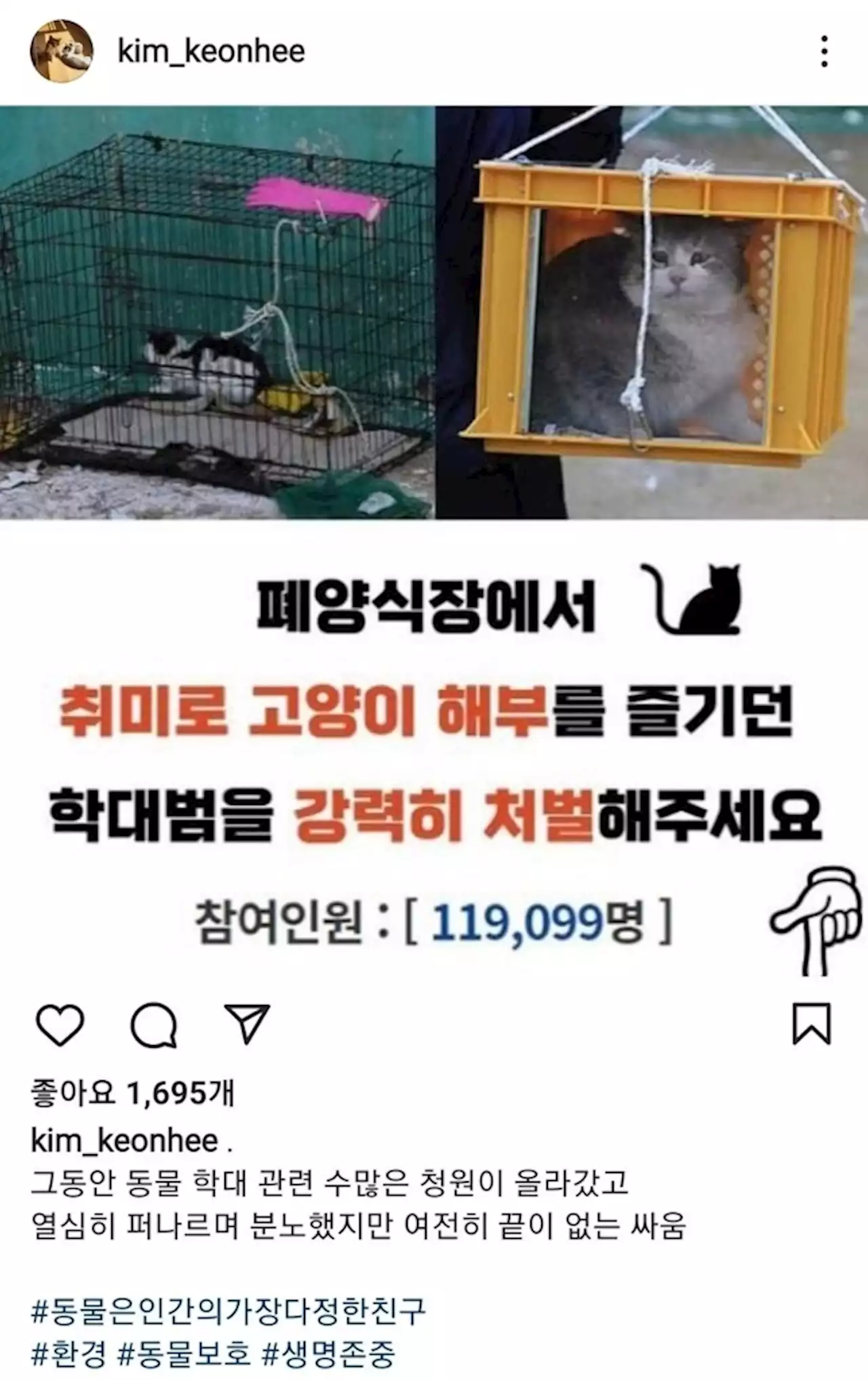 공개활동 예열?…김건희 이번엔 '고양이 학대 처벌' 인스타 | 연합뉴스