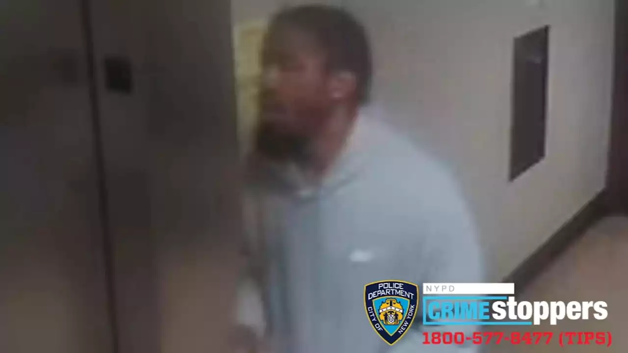 Man wanted for raping woman in Ingersoll Houses in Fort Greene, Brooklyn