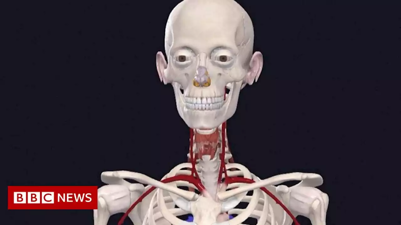 'It's the most detailed female anatomy ever produced'