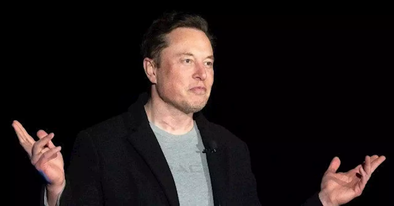 Elon Musk: 'Far Left Hates Everyone, Themselves Included'