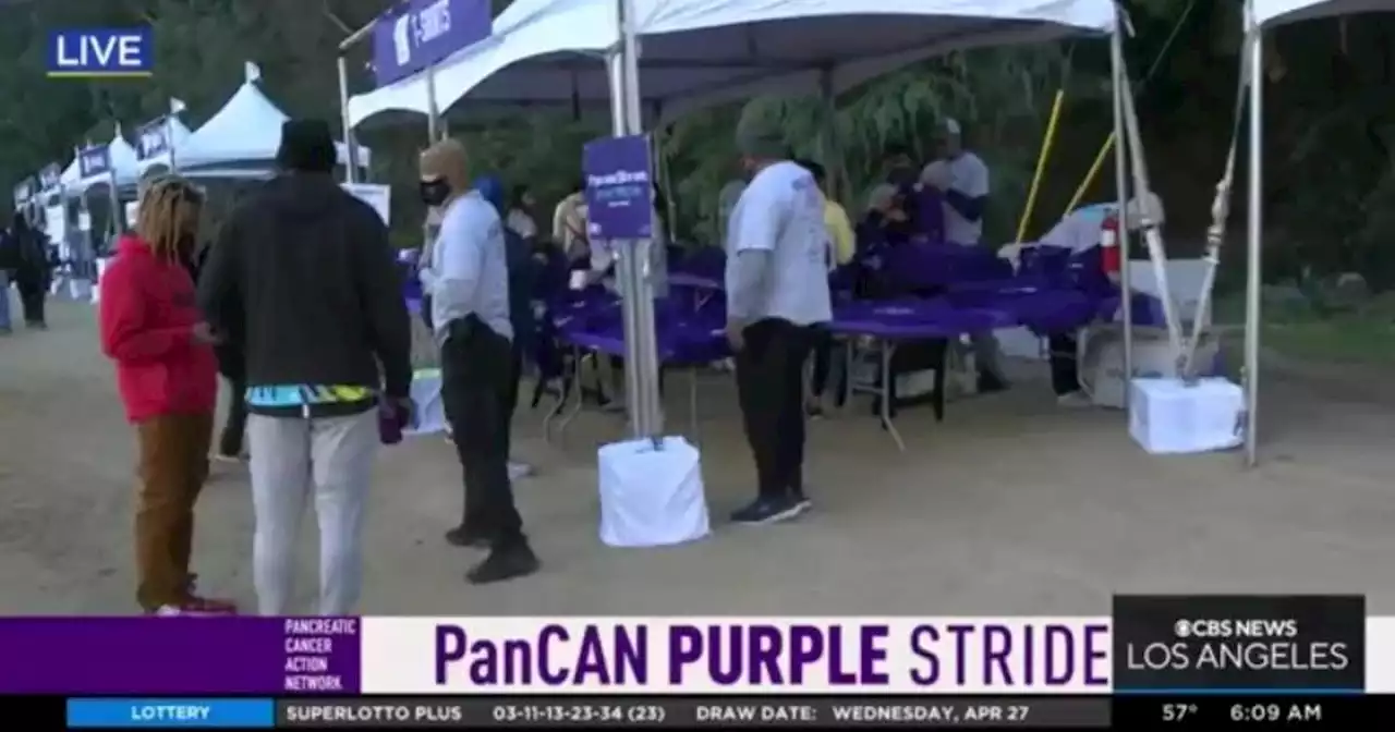 Thousands walk at LA Zoo to beat pancreatic cancer