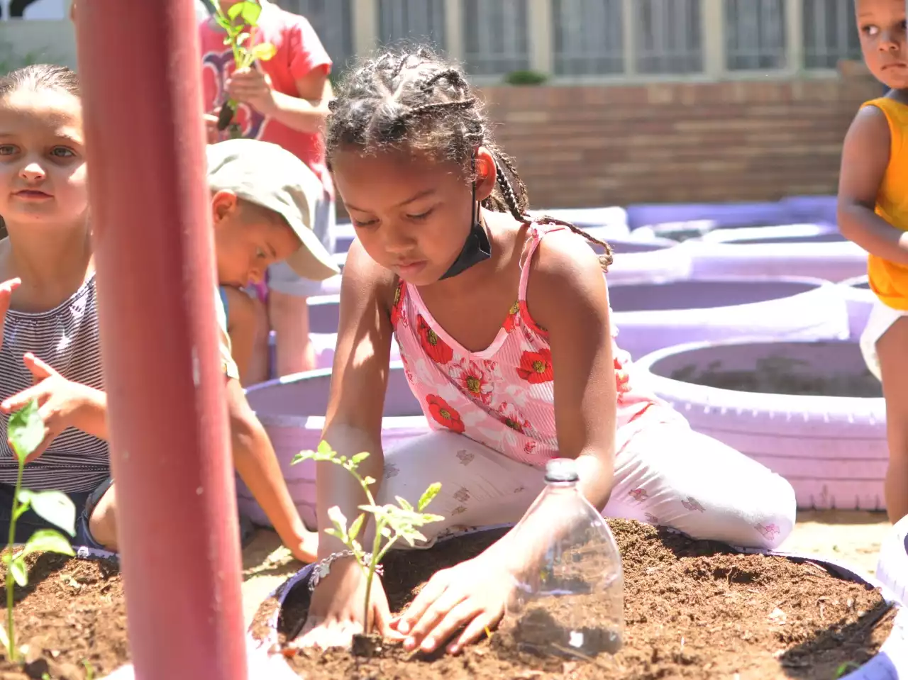 THE CONVERSATION: The pandemic’s gardening boom shows how gardens can cultivate public health