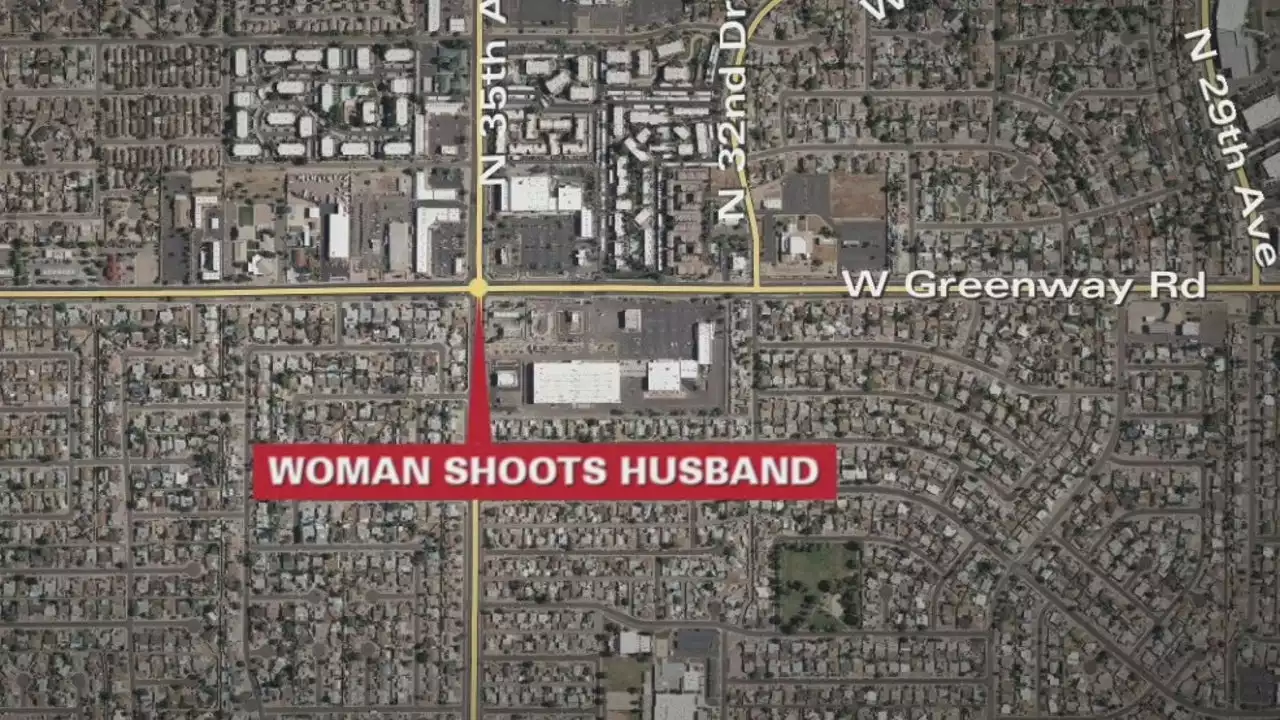 Phoenix woman kills husband during early morning fight, police claim