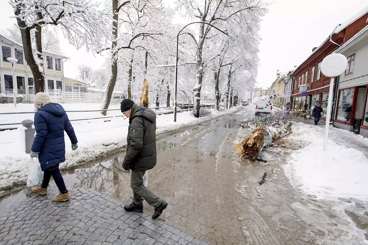 Nära 50 graders temperaturskillnad i april