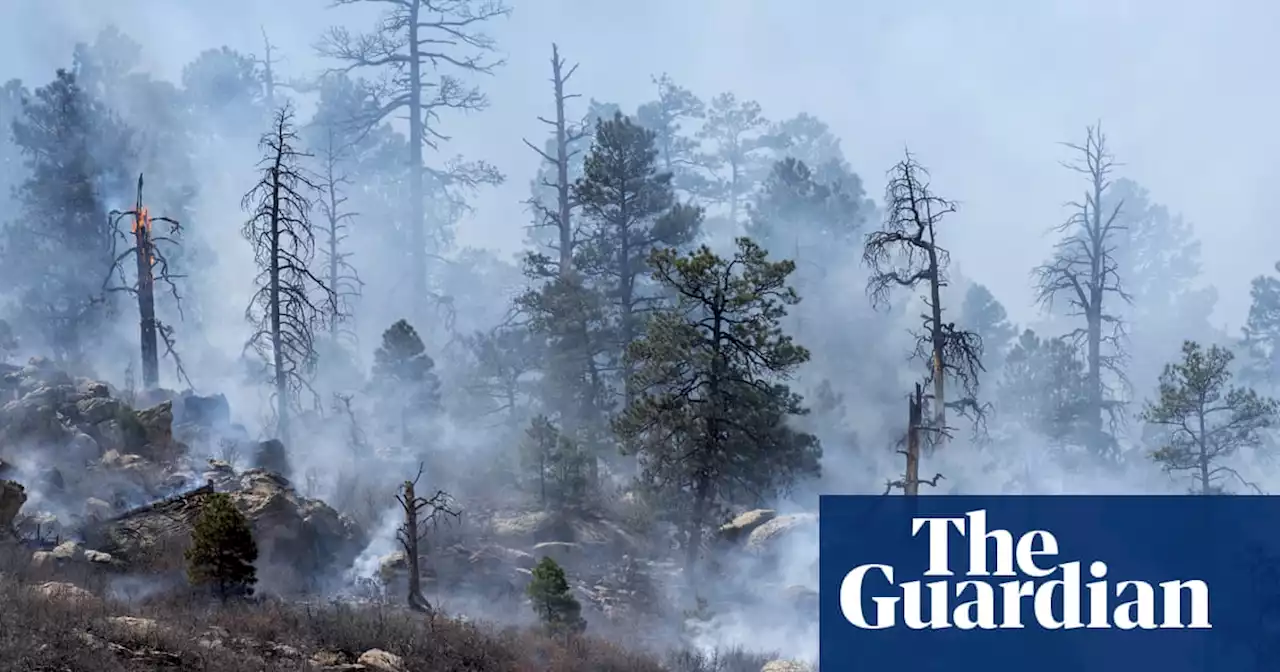 More than 1,000 firefighters battle 150 square mile wildfire in New Mexico