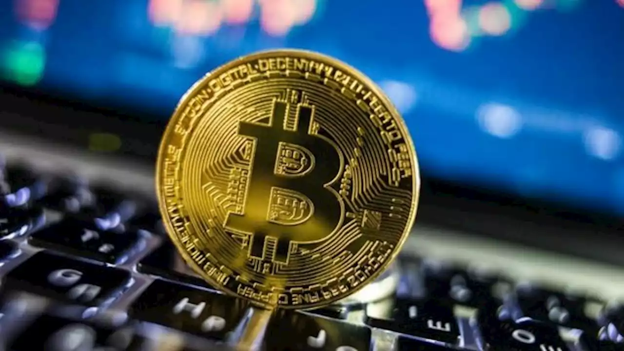 Cuidado si invertís en Bitcoin: 12 errores que hacen perder plata