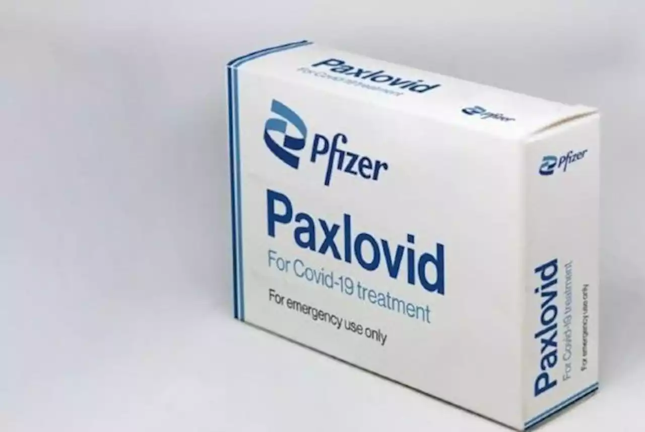 Pfizer Sebut Obat Covid Paxlovid Tidak Ampuh Cegah Infeksi