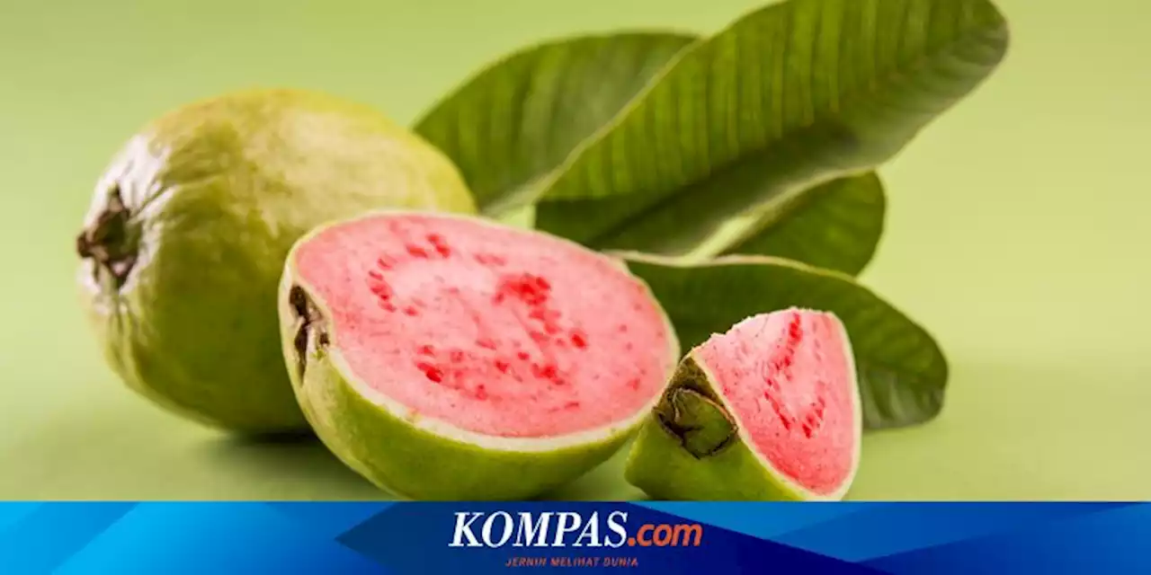 Manfaat Buah Jambu Biji, dari Meringankan Nyeri Menstruasi hingga Antikanker