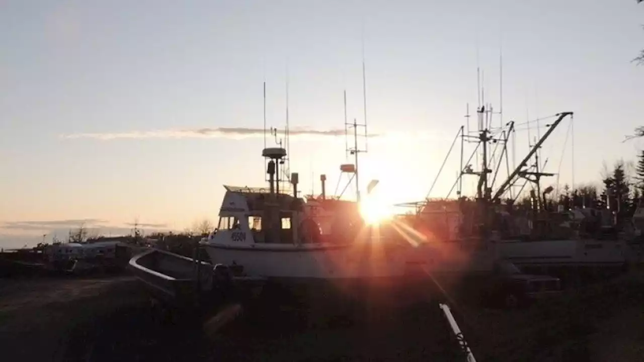 State forecasts record sockeye run in Bristol Bay