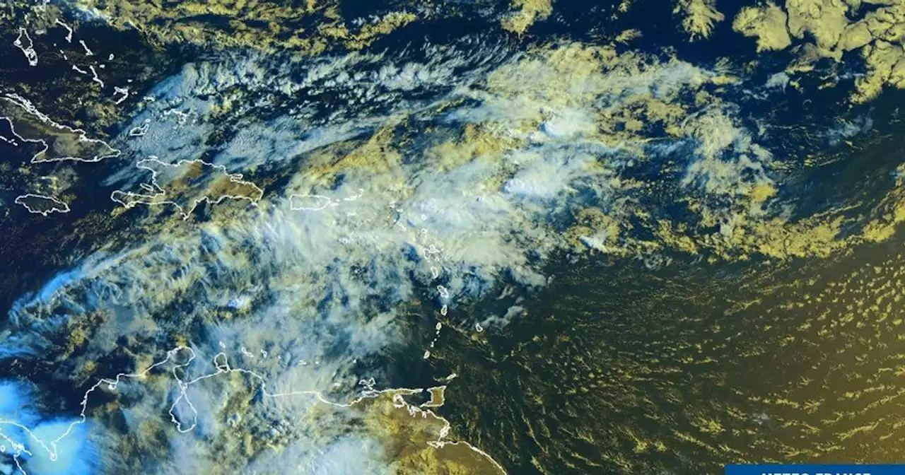 En Guadeloupe, des inondations après des précipitations 'records', deux morts